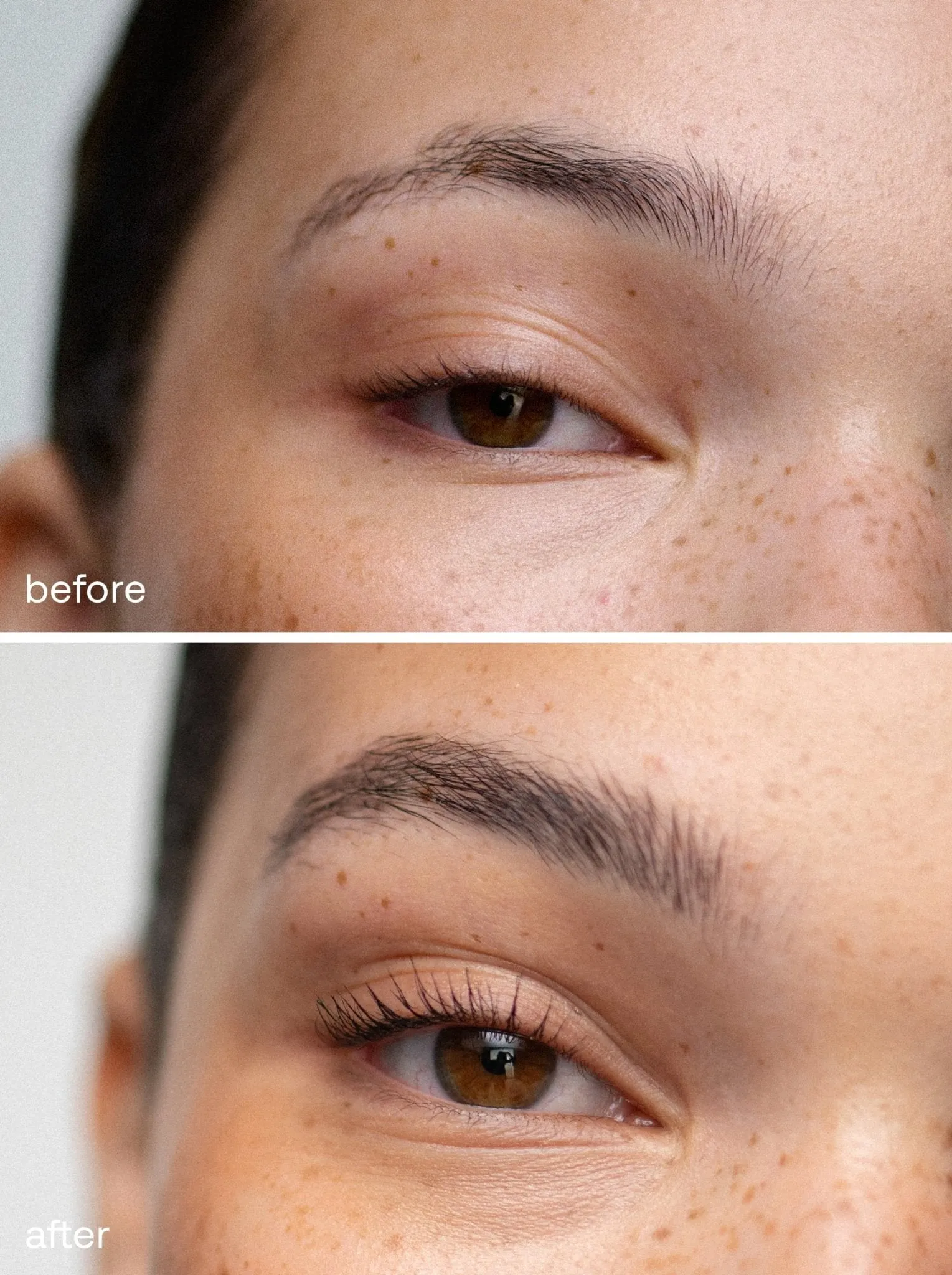 The Ultimate Brow Kit
