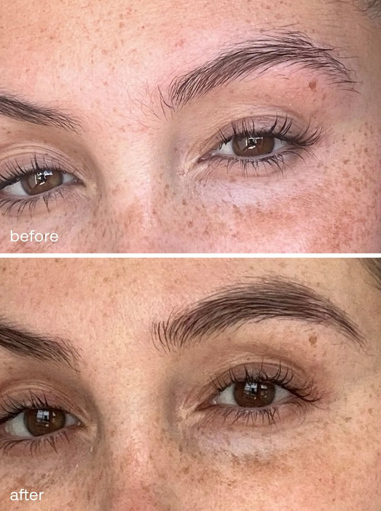 The Ultimate Brow Kit