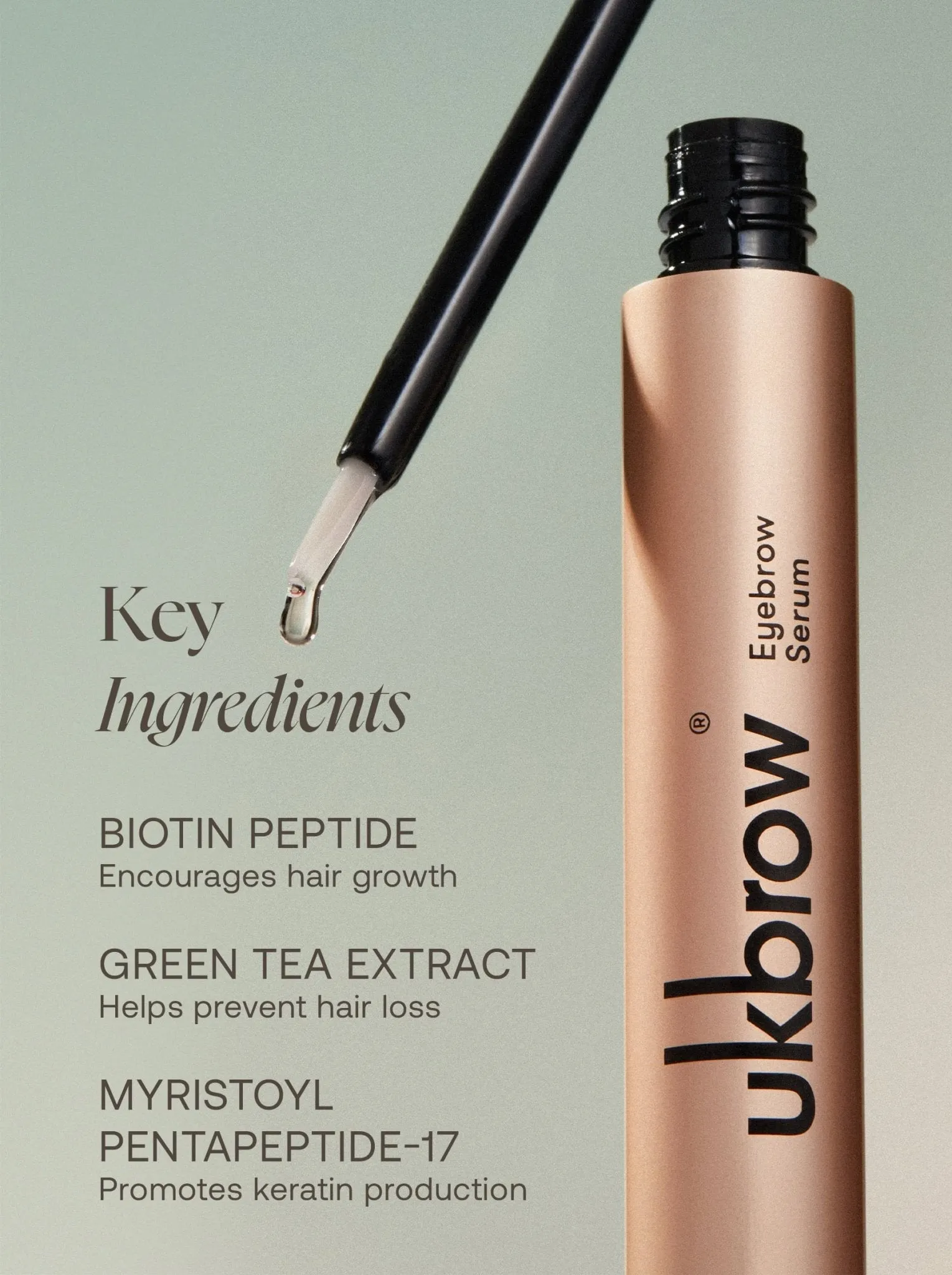The Ultimate Brow Kit