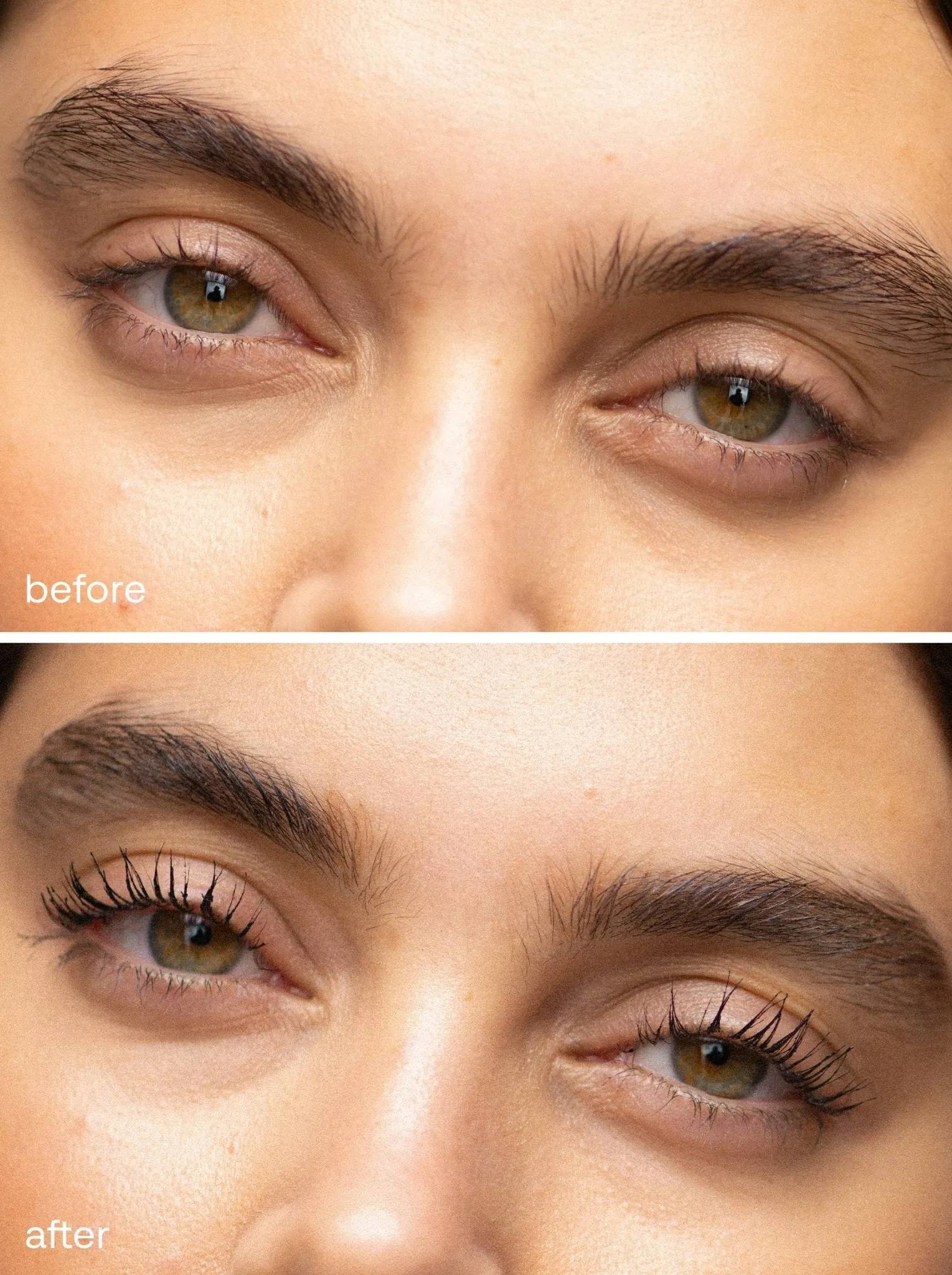The Ultimate Brow Kit