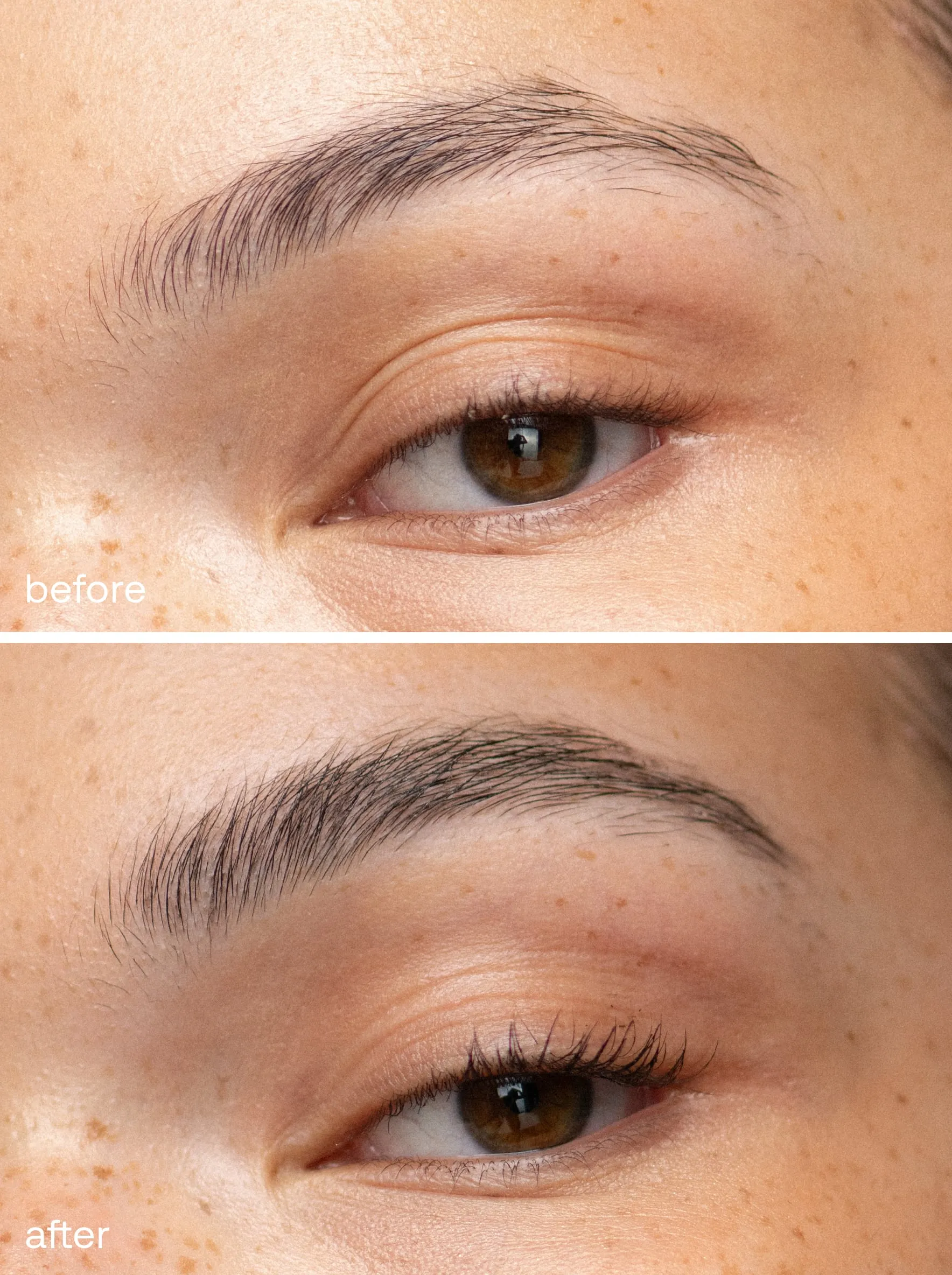 The Ultimate Brow Kit